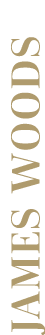 James Woods 